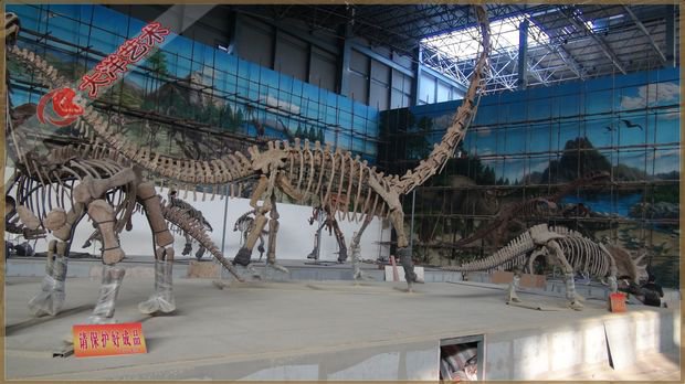 04-c6c2522722 西峡恐龙园主题项目项目实景 4