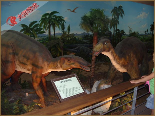 2005年韩国靳吉路装实现