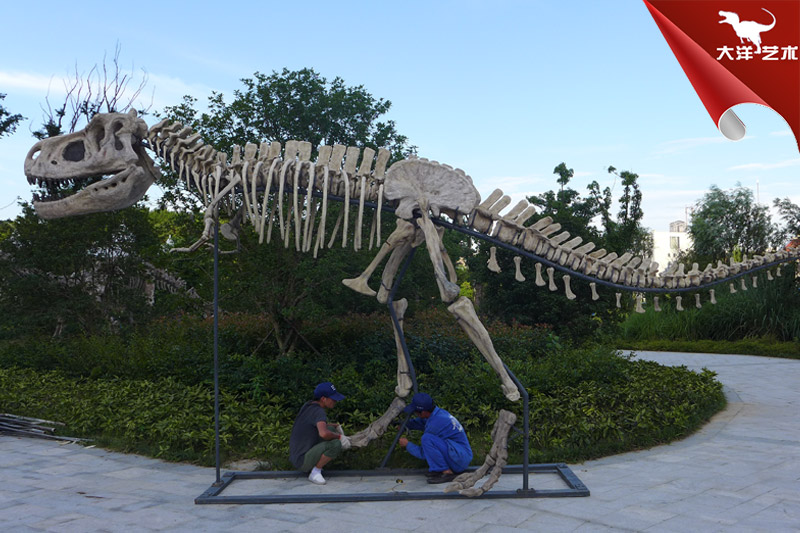 骨架模型-霸王龙