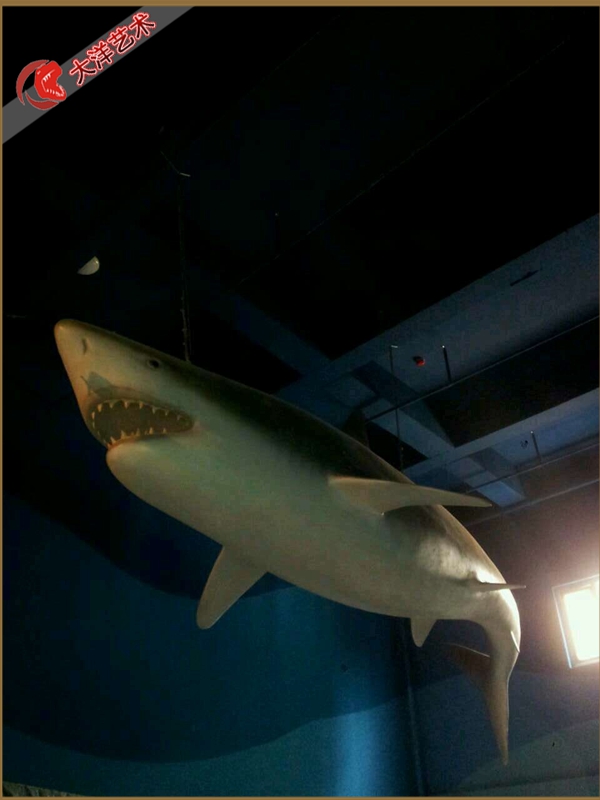 大润发贵宾厅|Home