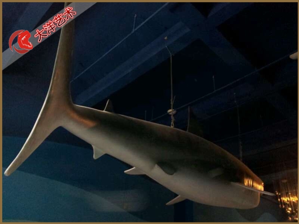 大润发贵宾厅|Home