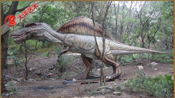 大润发贵宾厅|Home