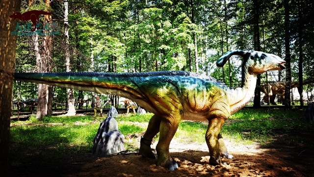 大润发贵宾厅|Home