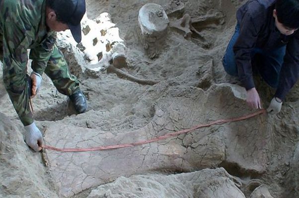 大润发贵宾厅|Home