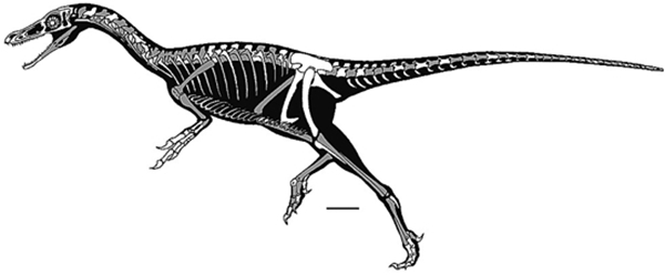 大润发贵宾厅|Home