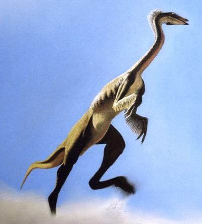 大润发贵宾厅|Home