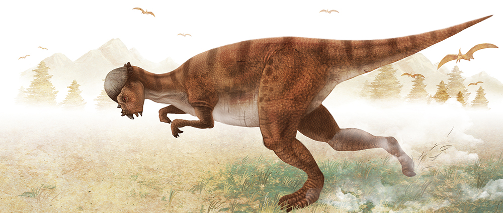 大润发贵宾厅|Home