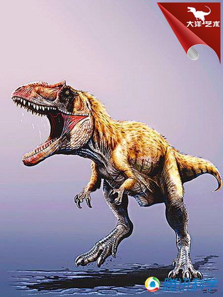 大润发贵宾厅|Home