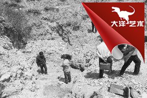 大润发贵宾厅|Home