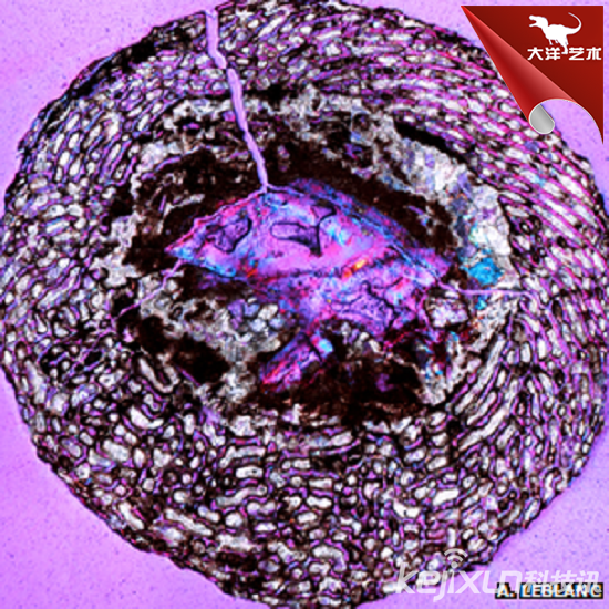 大润发贵宾厅|Home