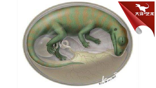 大润发贵宾厅|Home