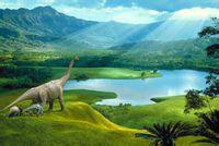 大润发贵宾厅|Home