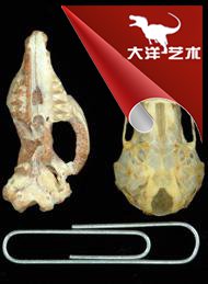 大润发贵宾厅|Home