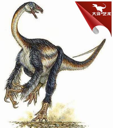 大润发贵宾厅|Home