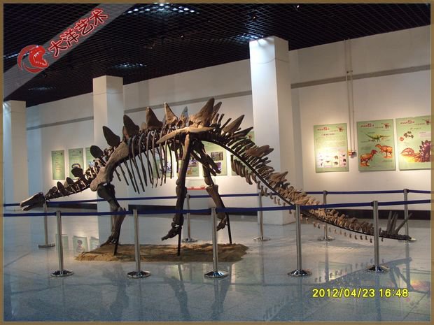 大润发贵宾厅|Home