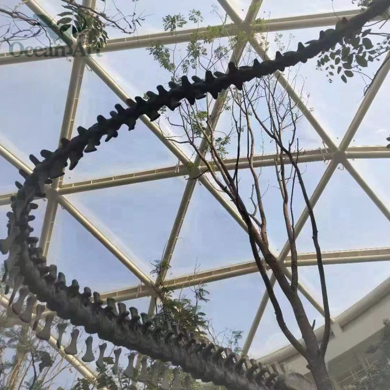 大润发贵宾厅|Home