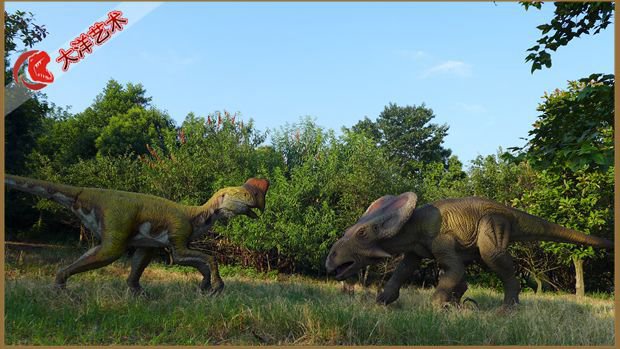 大润发贵宾厅|Home