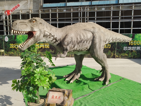 大润发贵宾厅|Home