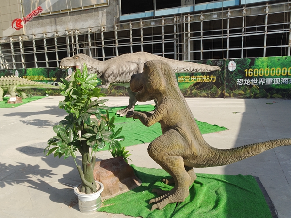 大润发贵宾厅|Home