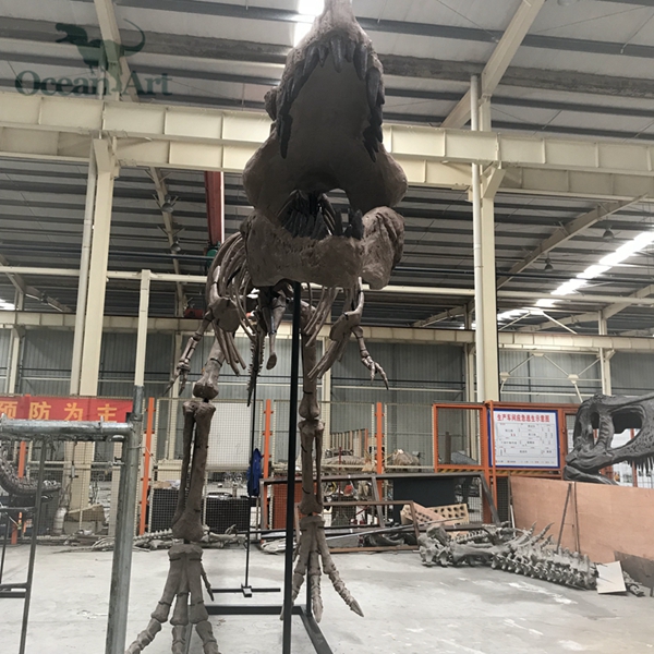 仿真恐龙骨架，恐龙化石骨骼