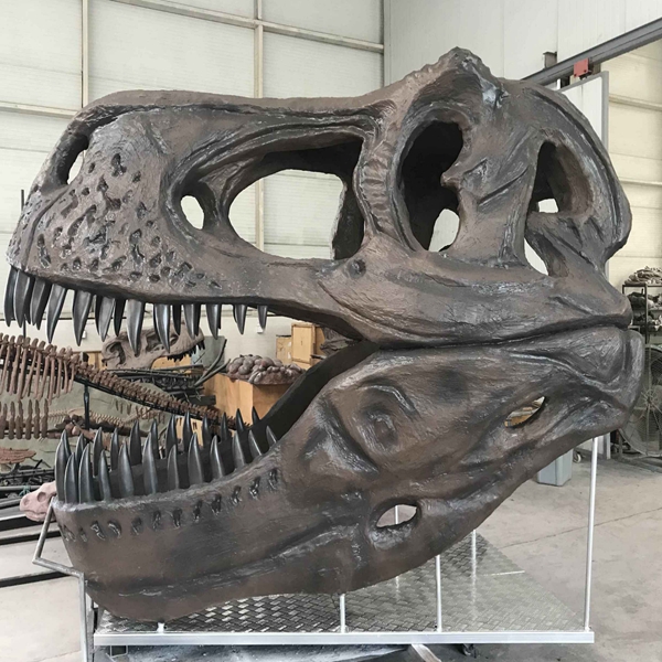 霸王龙头骨化石-仿真恐龙化石造作