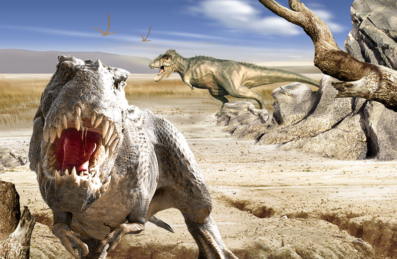 大润发贵宾厅|Home