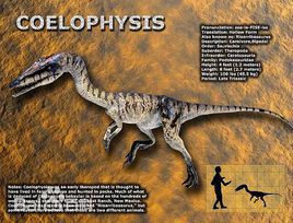 大润发贵宾厅|Home