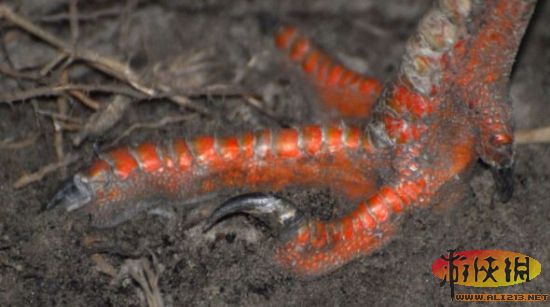 大润发贵宾厅|Home