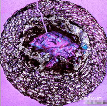 大润发贵宾厅|Home