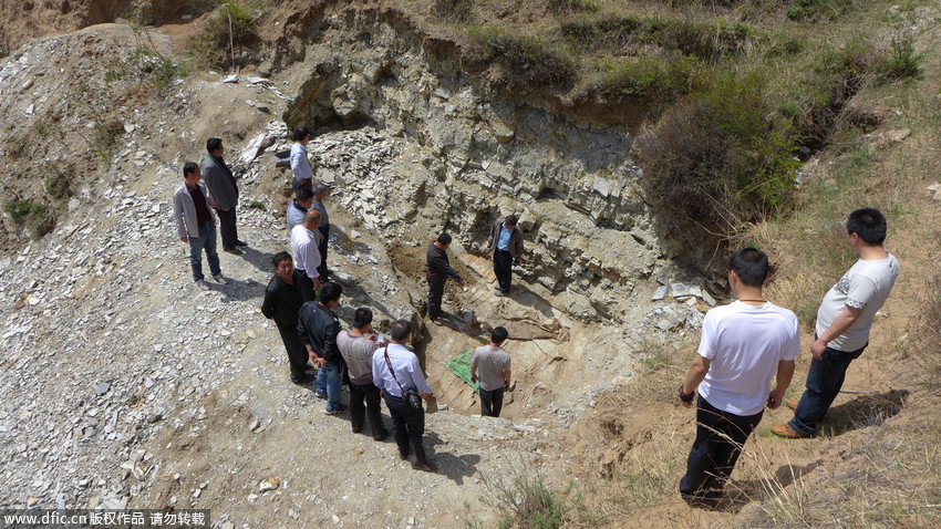 大润发贵宾厅|Home