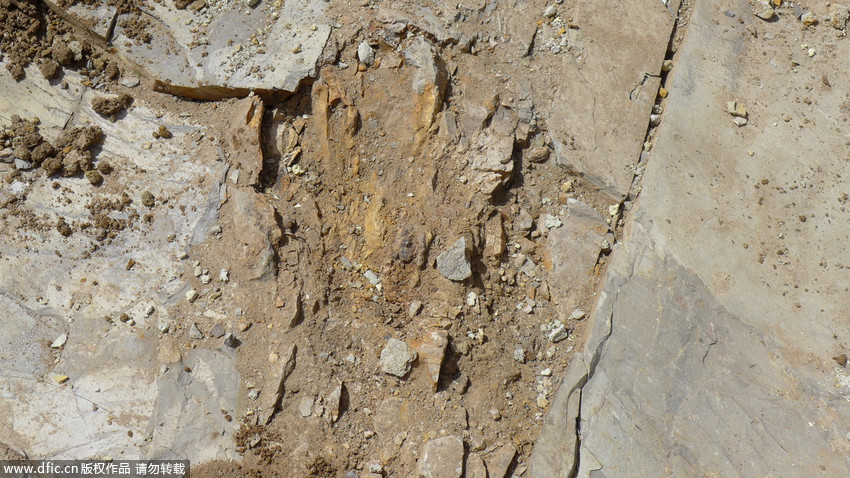 大润发贵宾厅|Home