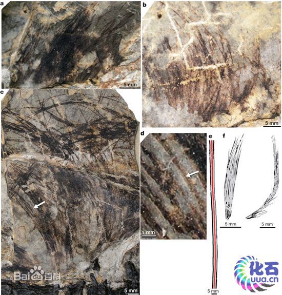 大润发贵宾厅|Home