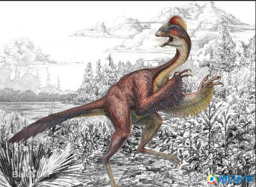 大润发贵宾厅|Home