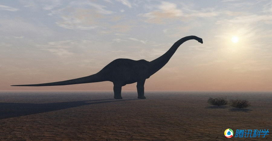 大润发贵宾厅|Home