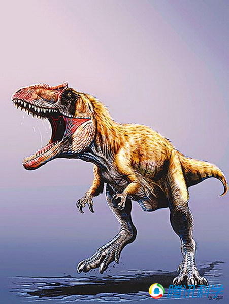 大润发贵宾厅|Home