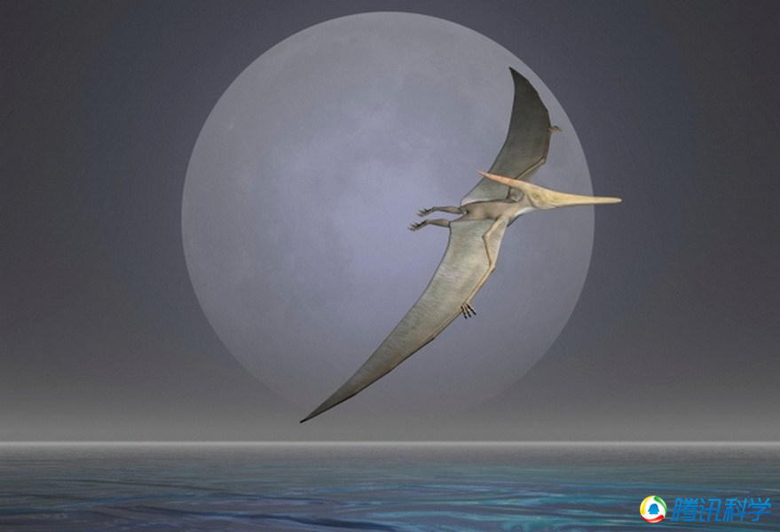 大润发贵宾厅|Home