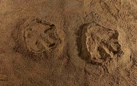 大润发贵宾厅|Home