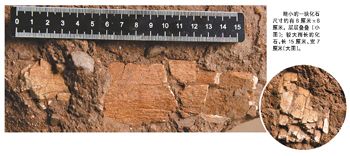 大润发贵宾厅|Home