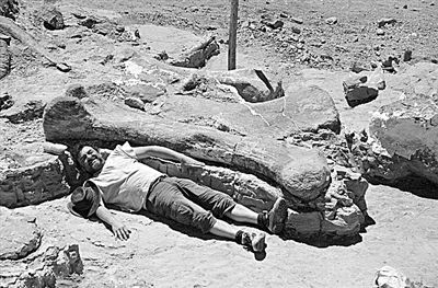 大润发贵宾厅|Home