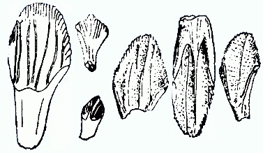 W020181103582655524102