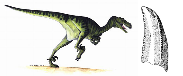 W020181103582654164923