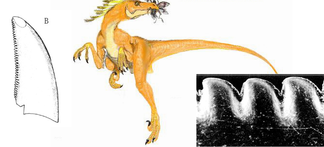 W020181103582654335005