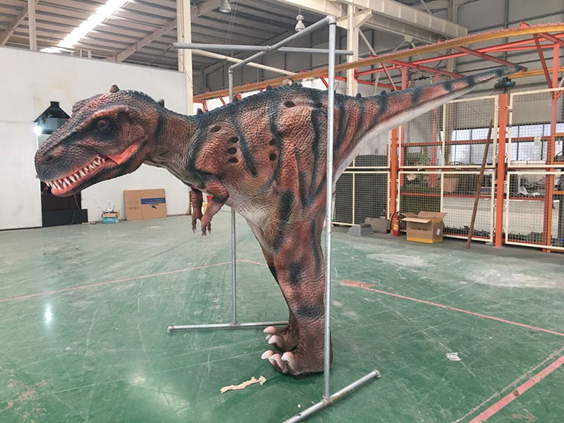 仿真恐龙皮套，客户与皮套互动