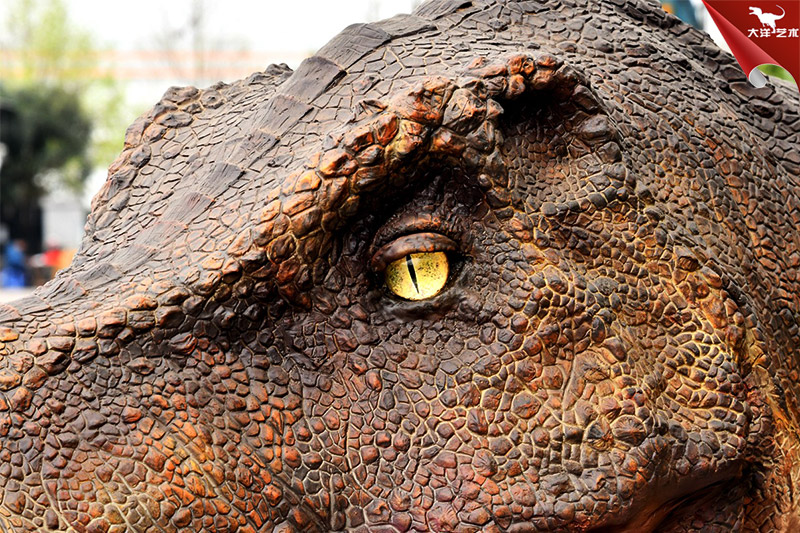 仿真恐龙，霸王龙龙头模型