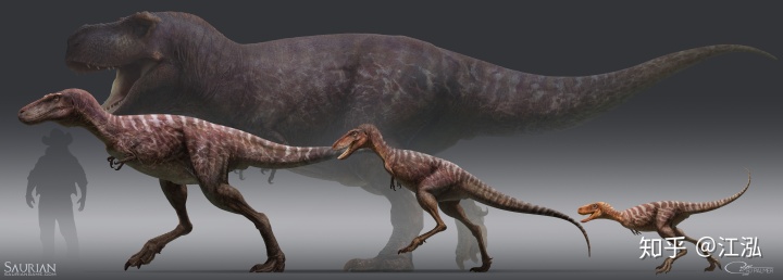 霸王龙毕生分为21个阶段，其中两个阶段最为关键！