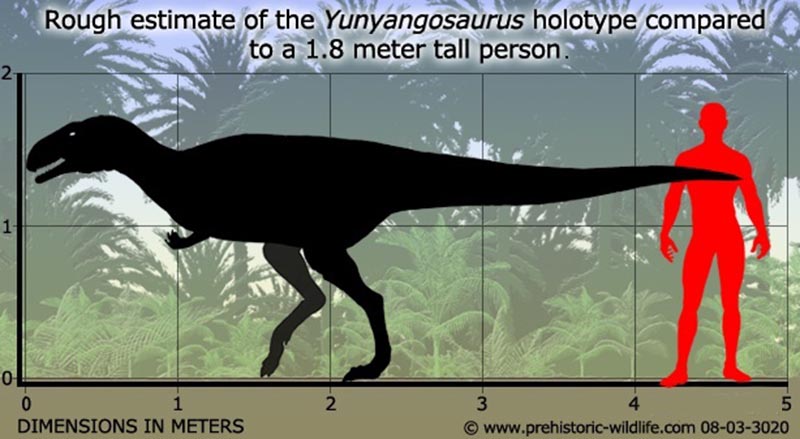 大润发贵宾厅|Home