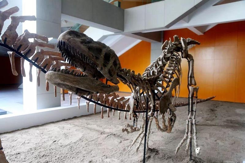 大润发贵宾厅|Home