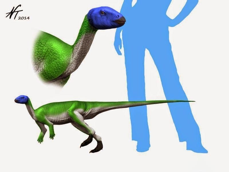 大润发贵宾厅|Home