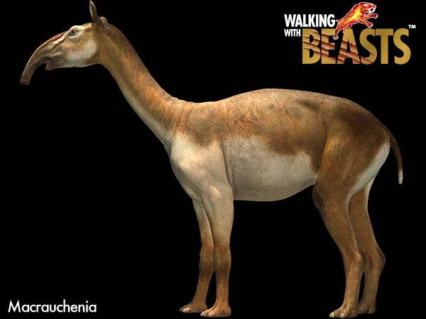 大润发贵宾厅|Home