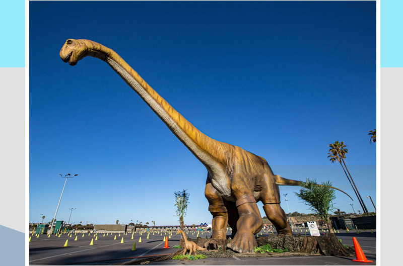 大润发贵宾厅|Home